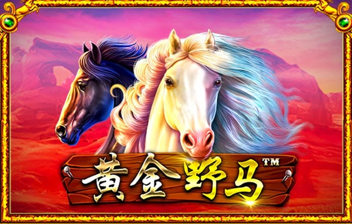 巴沙体育app最新版下载安装